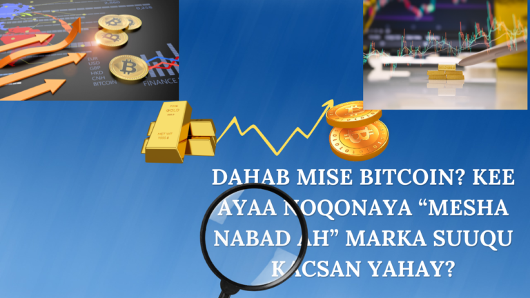 Dahab mise Bitcoin? Kee Ayaa Noqonaya “Mesha Nabad ah” Marka Suuqu Kacsan Yahay?