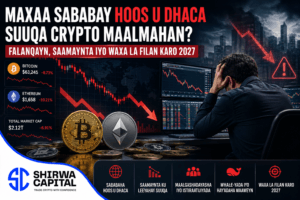 Maxaa Sababay Hoos u Dhaca Suuqa Crypto Maalmahan? Falanqayn, Saamaynta iyo Waxa La Filan Karo 2027