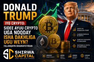 Donald Trump iyo Crypto: Sidee Ayuu Crypto Uga Noqday Isha Dakhliga Ugu Weyn? Falanqayn Dhamaystiran