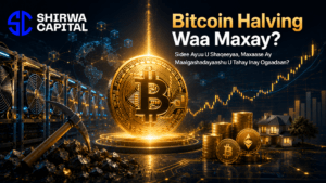 Bitcoin Halving Waa Maxay? Sidee Ayuu U Shaqeeyaa, Maxaase Ay Maalgashadayaashu U Tahay Inay Ogaadaan?