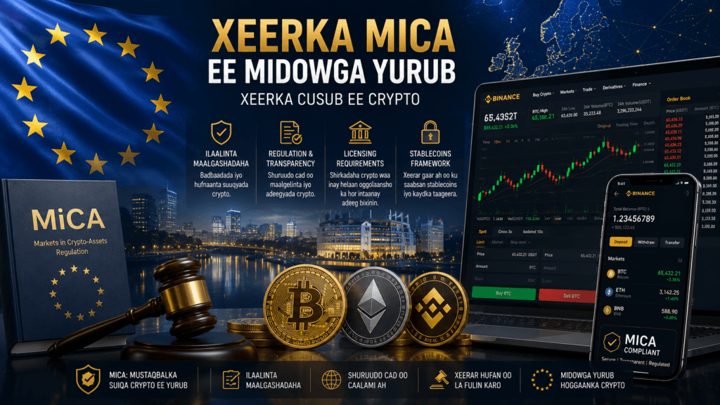 Xeerka MiCA ee Yurub: Sidee Uu U Saameynayaa Binance, Bitcoin iyo Mustaqbalka Crypto?