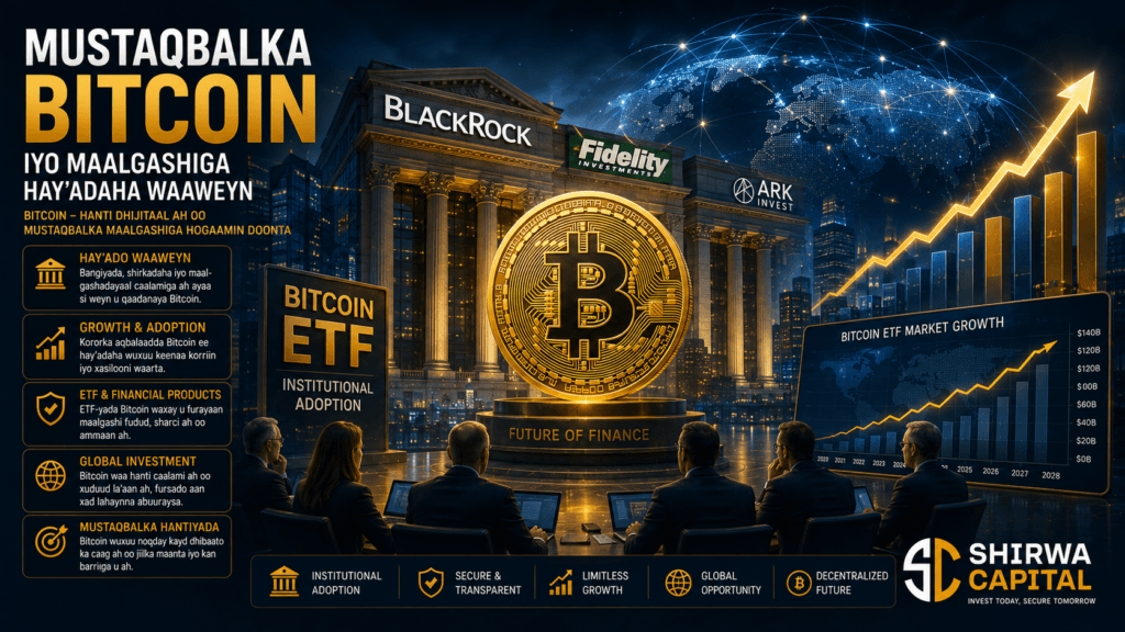 BlackRock: Bitcoin Ma Ku Habboon Yahay Portfolio-gaaga? Falanqayn Ku Saabsan Talooyinka Cusub ee Maalgashiga