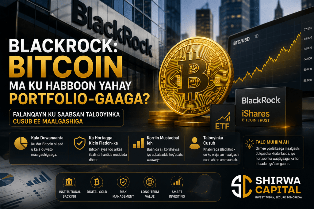 BlackRock: Bitcoin Ma Ku Habboon Yahay Portfolio-gaaga? Falanqayn Ku Saabsan Talooyinka Cusub ee Maalgashiga