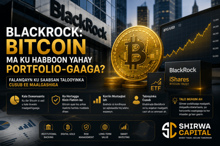 BlackRock: Bitcoin Ma Ku Habboon Yahay Portfolio-gaaga? Falanqayn Ku Saabsan Talooyinka Cusub ee Maalgashiga