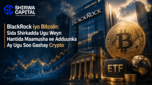 BlackRock iyo Bitcoin: Sida Shirkadda Ugu Weyn Hantida Maamusha ee Adduunka Ay Ugu Soo Gashay Crypto