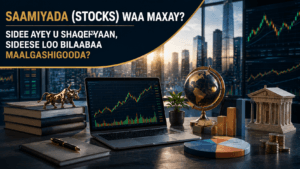 Saamiyada (Stocks) Waa Maxay? Sidee Ayey U Shaqeeyaan, Sideese Loo Bilaabaa Maalgashigooda?
