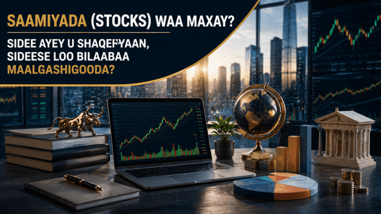 Saamiyada (Stocks) Waa Maxay? Sidee Ayey U Shaqeeyaan, Sideese Loo Bilaabaa Maalgashigooda?