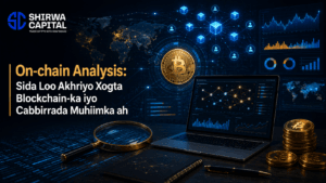 On-chain Analysis: Sida Loo Akhriyo Xogta Blockchain-ka iyo Cabbirrada Muhiimka ah