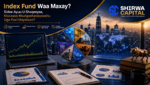 Index Fund Waa Maxay? Sidee Ayuu U Shaqeeyaa, Maxaase Maalgashadayaashu Uga Faa'iidaystaan?
