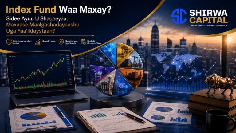 Index Fund Waa Maxay? Sidee Ayuu U Shaqeeyaa, Maxaase Maalgashadayaashu Uga Faa'iidaystaan?