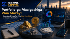 Portfolio-ga Maalgashiga Waa Maxay? Sidee Loo Dhisaa Portfolio Isku Dheellitiran oo Yareeya Khatarta?