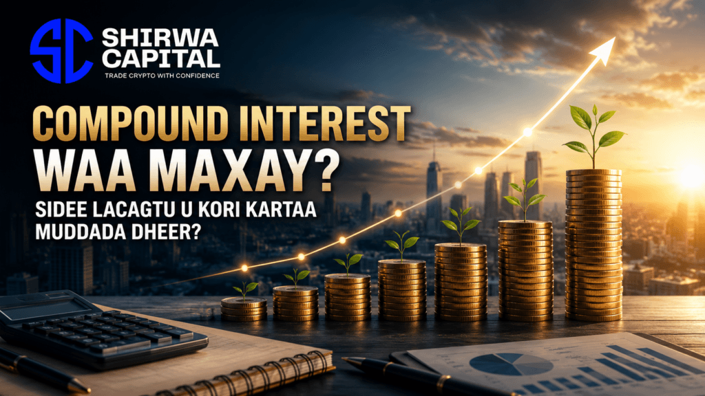 Compound Interest Waa Maxay? Sidee Lacagtu U Kori Kartaa Muddada Dheer?