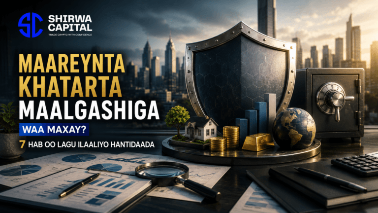 Maareynta Khatarta Maalgashiga Waa Maxay? 7 Hab oo Lagu Ilaaliyo Hantidaada