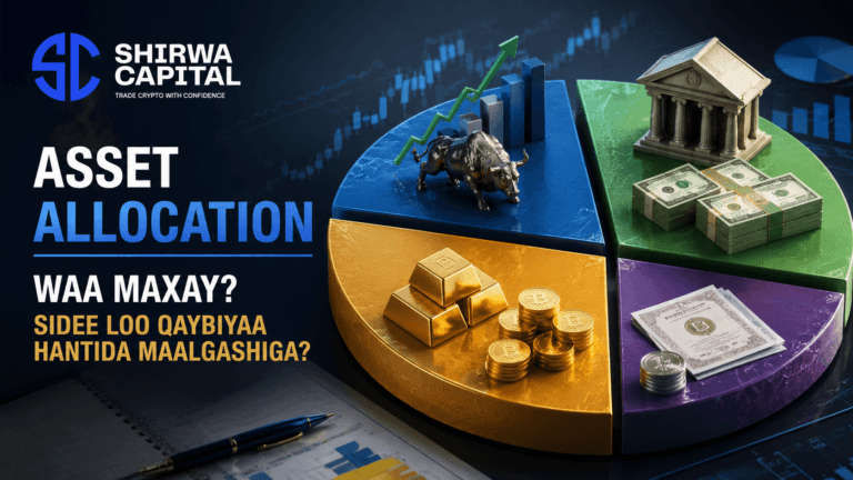 Asset Allocation Waa Maxay? Sidee Loo Qaybiyaa Hantida Maalgashiga?