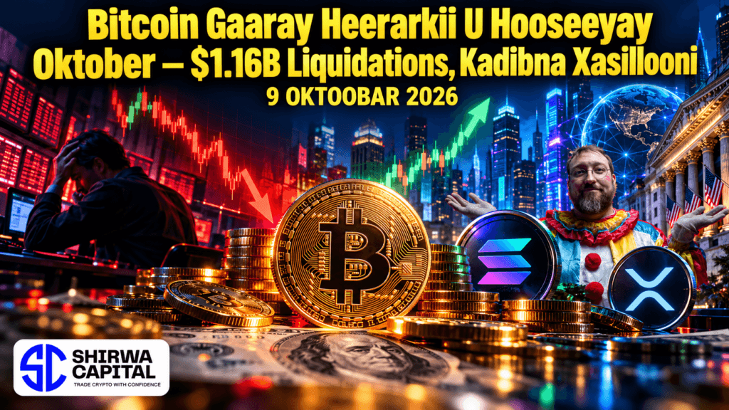 Falanqaynta Suuqa Crypto: Bitcoin Gaaray Heerarkii U Hooseeyay Oktober $1.16B Liquidations, Kadibna Xasillonaday β 9 Oktober 2026